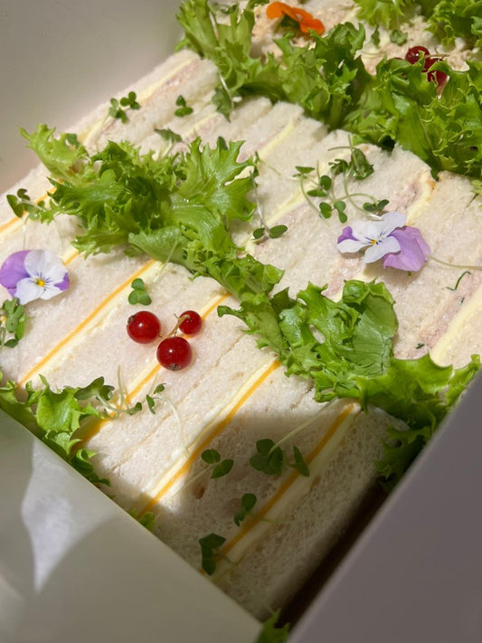 علبة ساندويتشات