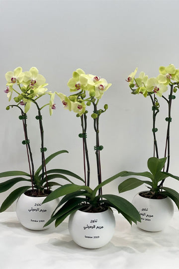 Orchid Giveaways